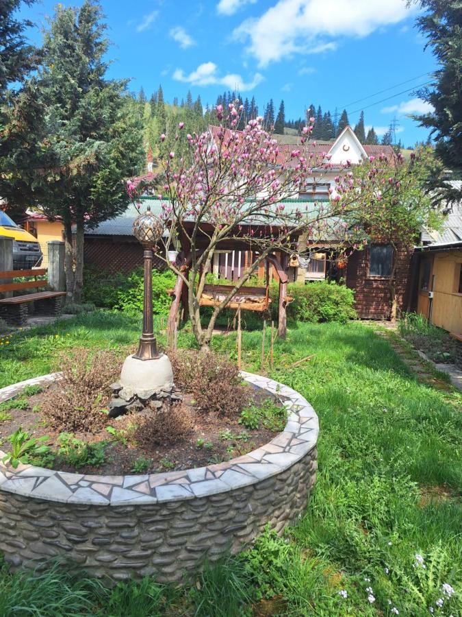Casa Cu Lavanda فاترا دورني المظهر الخارجي الصورة