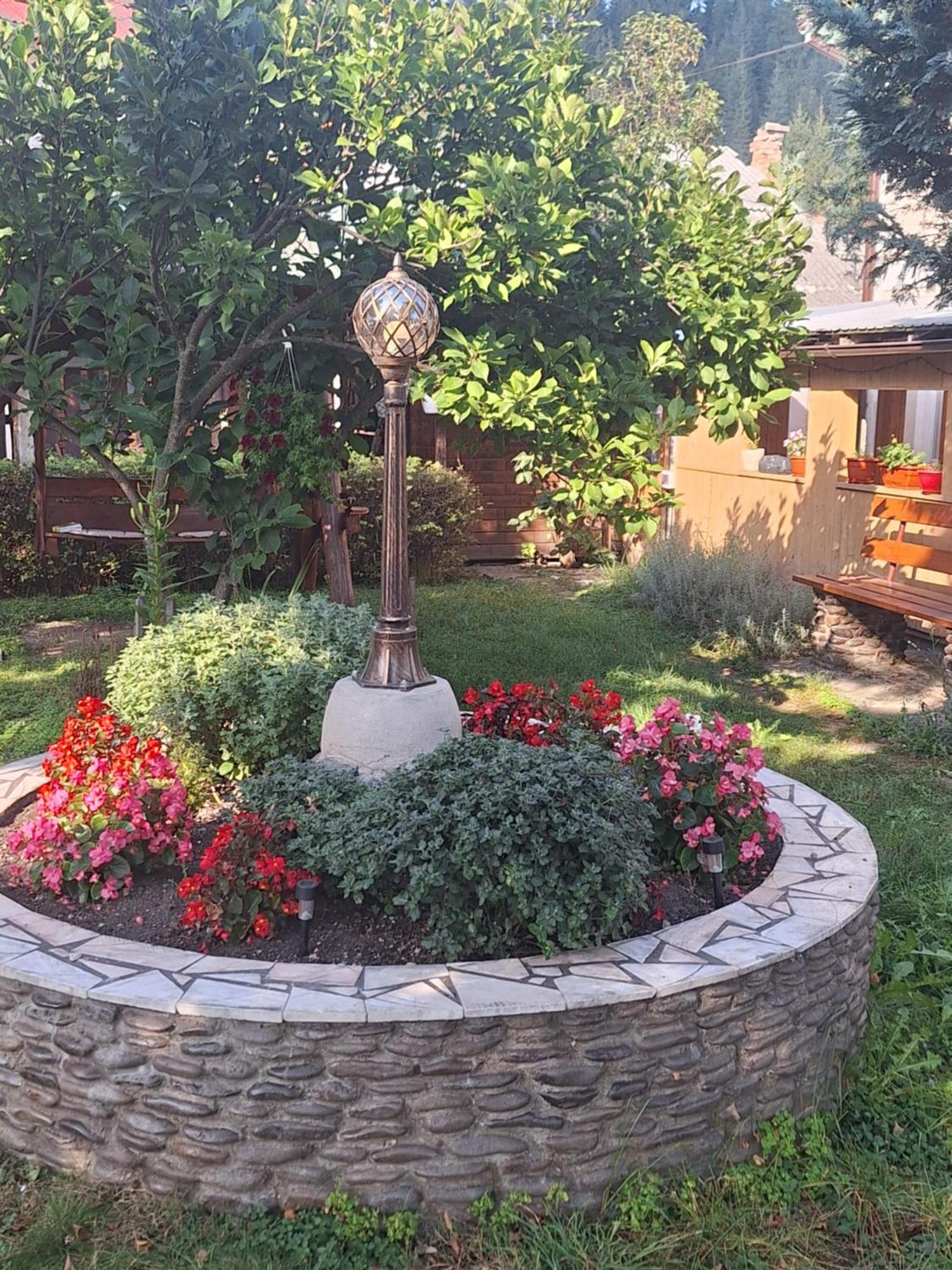 Casa Cu Lavanda فاترا دورني المظهر الخارجي الصورة